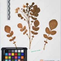 CIP 761435_OCH 12069_02.jpg