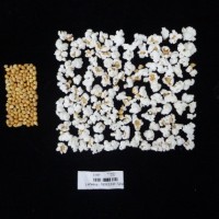 Popped and not popped comparison labeled.jpg