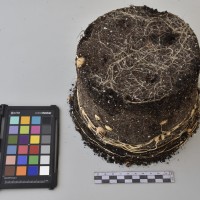 CIP760465_HHA 6626_Tb.JPG