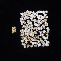 Popped and not popped comparison.jpg