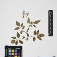 CIP 760305_HHCH 4728_02.jpg