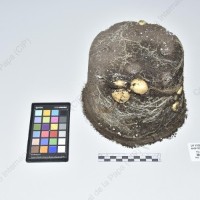 CIP 765958_RPSP 282_mtp_Tb_2024.jpg