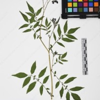 CIP 765693_RPSP 004_14.jpg