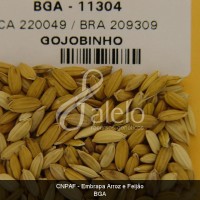 BRA00008639-7.JPG