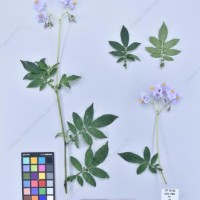 CIP 761163_OCHS 11004_tnd_H_2024.jpg