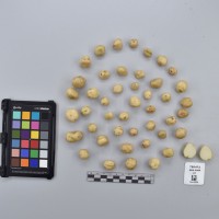 CIP760472_HHA 6664_T.JPG