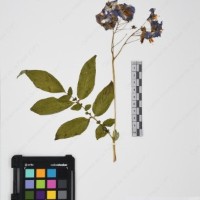 CIP 765722_RPSP 034_14.jpg