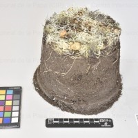 CIP 762326_OCHS 15565_ber_Tb.jpg