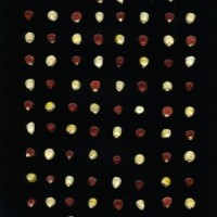 CIMMYTMA 18678 BOLI 842 TC22U-2903-12 K.jpg