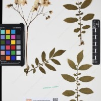 CIP 762631_OCHS 12596_07.jpg