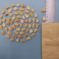 CIMMYTMA 8385 - Reference inventory.jpg