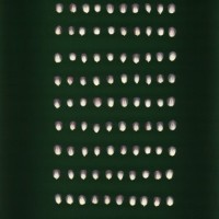 CIMMYTMA 3198 CHOC 339 AF23A-0903-92 K.jpg