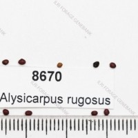8670.jpg