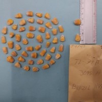 CIMMYTMA 7474 - Reference inventory.jpg