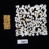 Popped and not popped comparison labeled.jpg