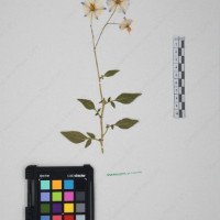 CIP 761459_OCH 12099_04.jpg