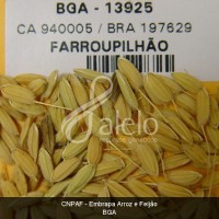 BRA00011223-5.JPG