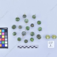 CIP 761786_OCH 13753_rap_B_2024.jpg