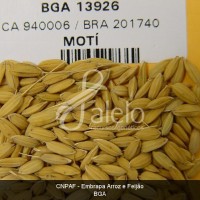 BRA00011224-3.JPG