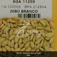BRA00008594-4.JPG