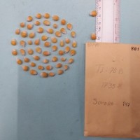 CIMMYTMA 8014 - Reference inventory.jpg