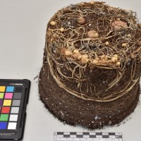 CIP765762_RPSP 084_Tb.JPG