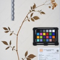 CIP 761393_OCH 12012_05.jpg