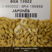 BRA00011220-1.JPG