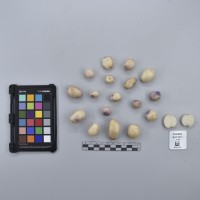 CIP760458_HHA 6613_T.JPG