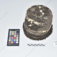 CIP 762915_SSTH 7397_agu_Tb_2024.jpg