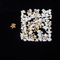 Popped and not popped comparison.jpg