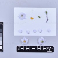 CIP 761235_OCHS 11614_igf_F(i).jpg