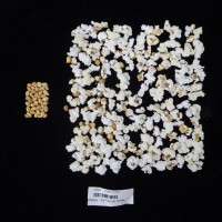 Popped and not popped comparison labeled.JPG