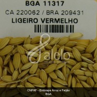 BRA00008652-0.JPG