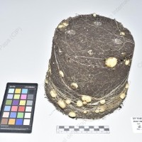 CIP 761302_OCHS 11852_buk_Tb_2024.jpg