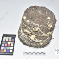 CIP 761538_OCHS 13194_buk_Tb_2024.jpg