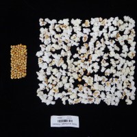 Popped and not popped comparison labeled.JPG