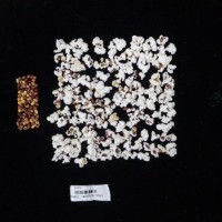 Popped and not popped comparison labeled.jpg