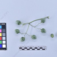 CIP 761097_FB 4025C50.1_cmm_B_2024.jpg