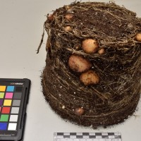 CIP765999_RPSP 322_Tb.JPG