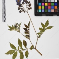 CIP 765693_RPSP 004_10.jpg