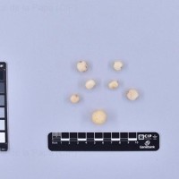 CIP 760685_OKA 4306_opl_T.jpg