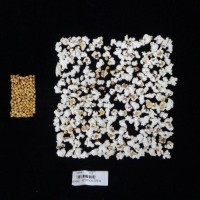 Popped and not popped comparison labeled.jpg