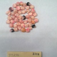 CIMMYTMA 3389 - Reference Inventory.jpg