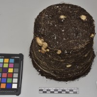 CIP761962_OCH 14283_Tb.JPG