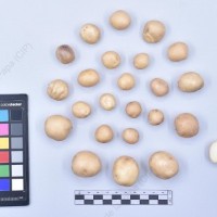 CIP 761210_OCH 11315_lgl_T_2024.jpg