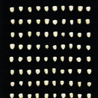 CIMMYTMA 1919 HIDA 46 BA23U-2903-79 K.jpg