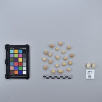 CIP760508_HAM 74_T.JPG