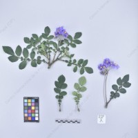 CIP 761843_OCH 13854_buk_H_2024.jpg