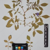 CIP 760428_HHA 6468_05.jpg